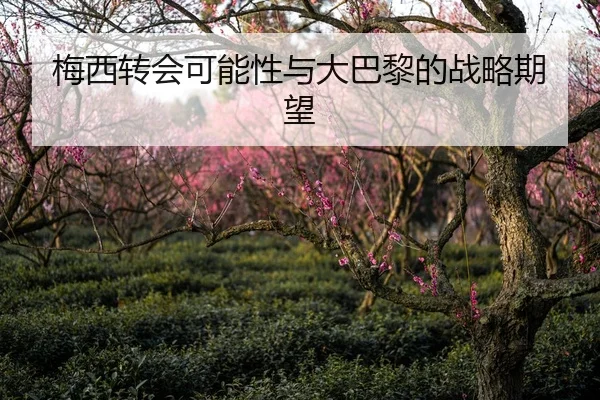 梅西转会可能性与大巴黎的战略期望