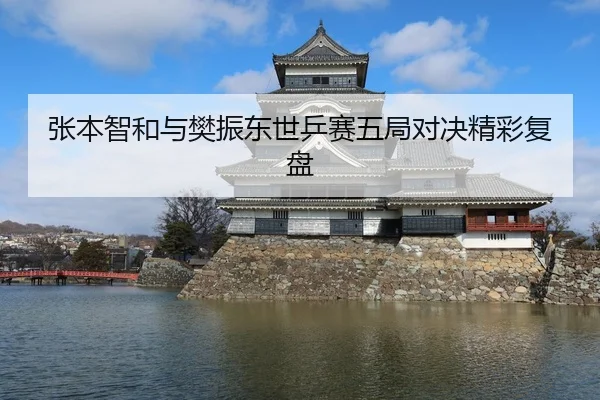 张本智和与樊振东世乒赛五局对决精彩复盘